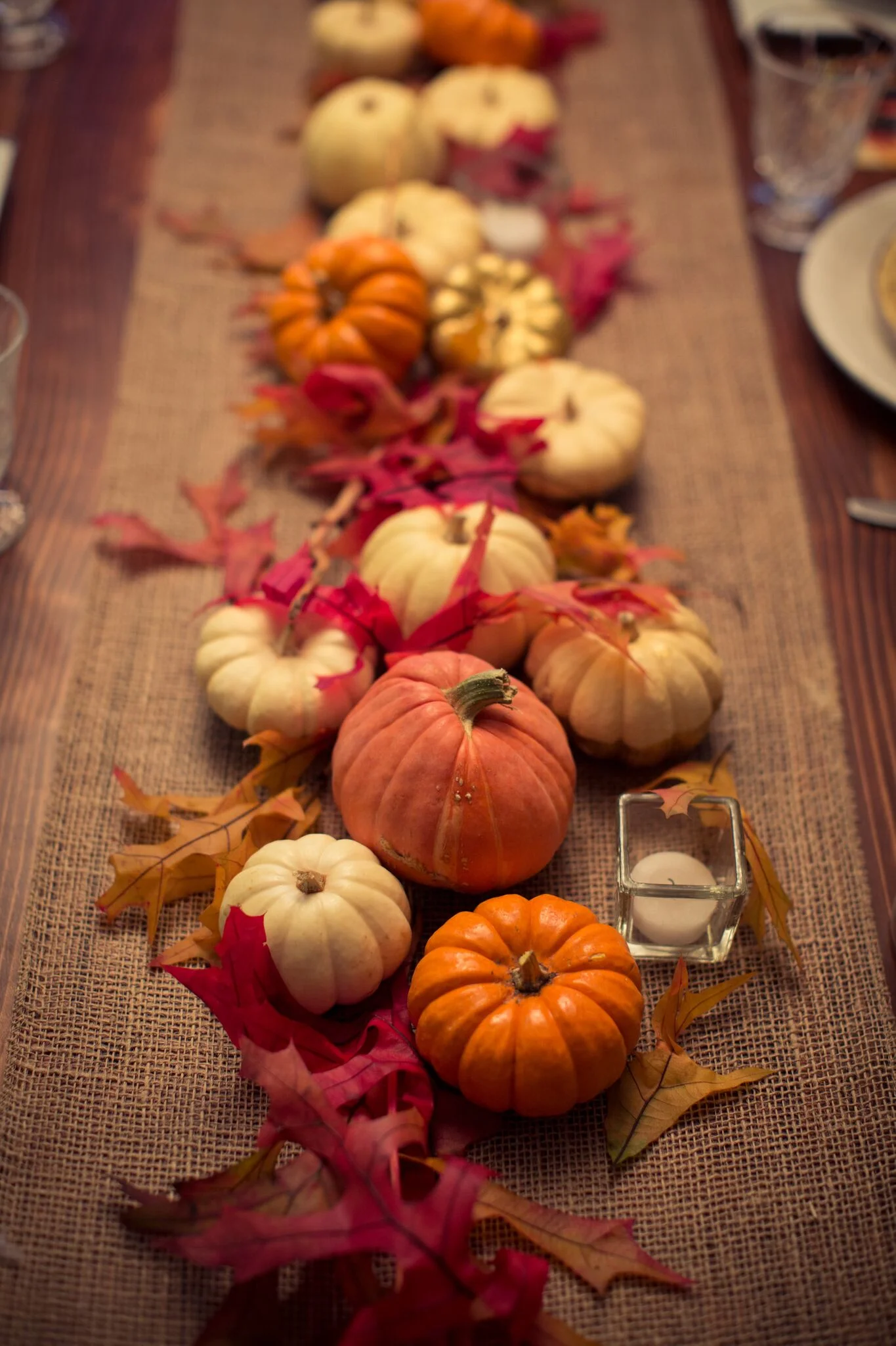 pumpkins.jpg
