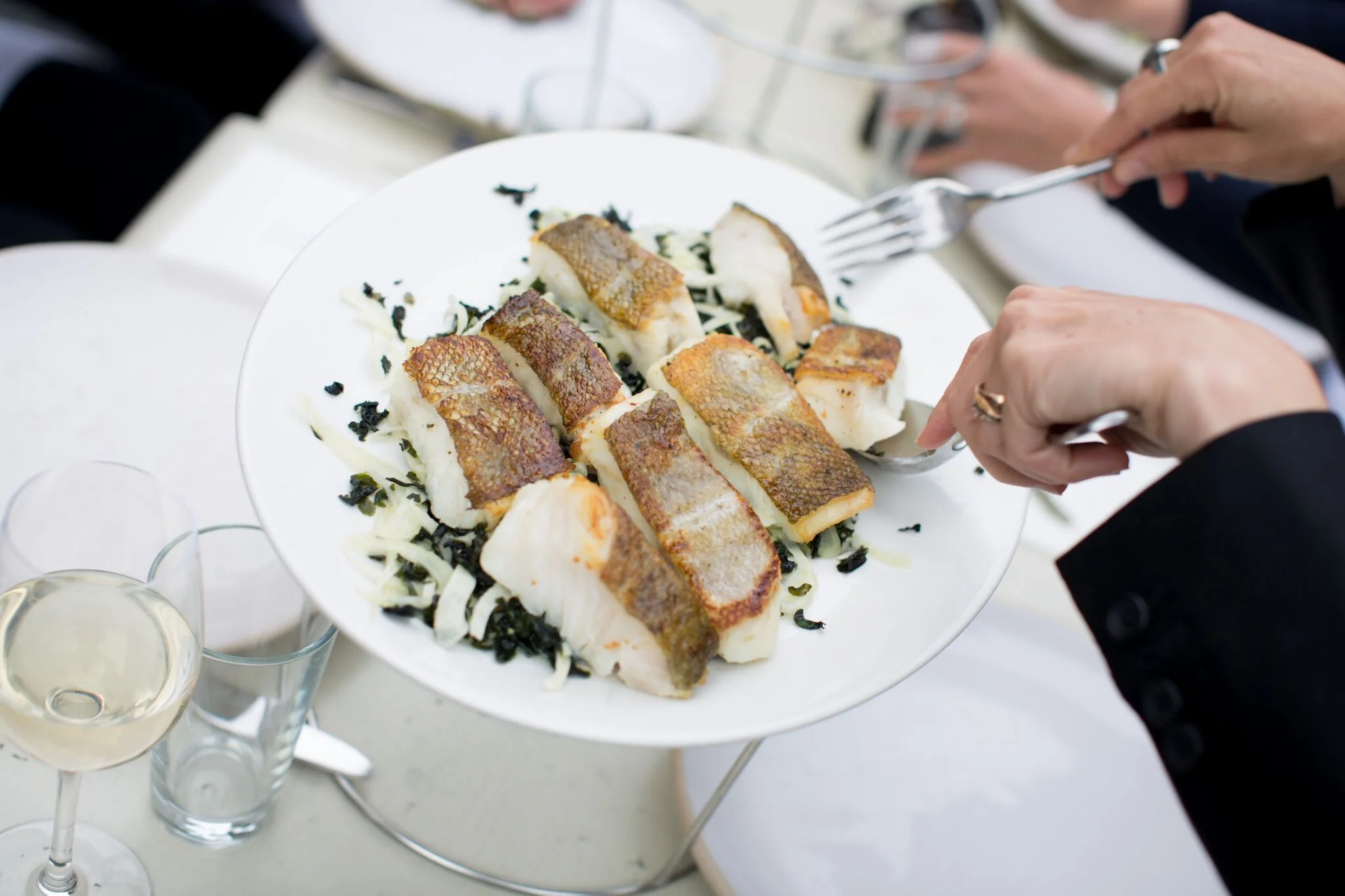 food11.jpg