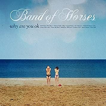 band of horses - why are you ok.jpg