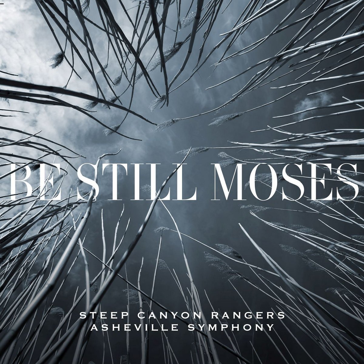 steep canyon rangers - be still moses.jpeg