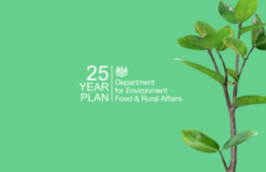 25 year plan.png