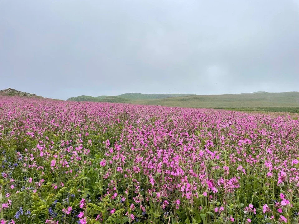 ARTICLE: An education system in need of a purpose