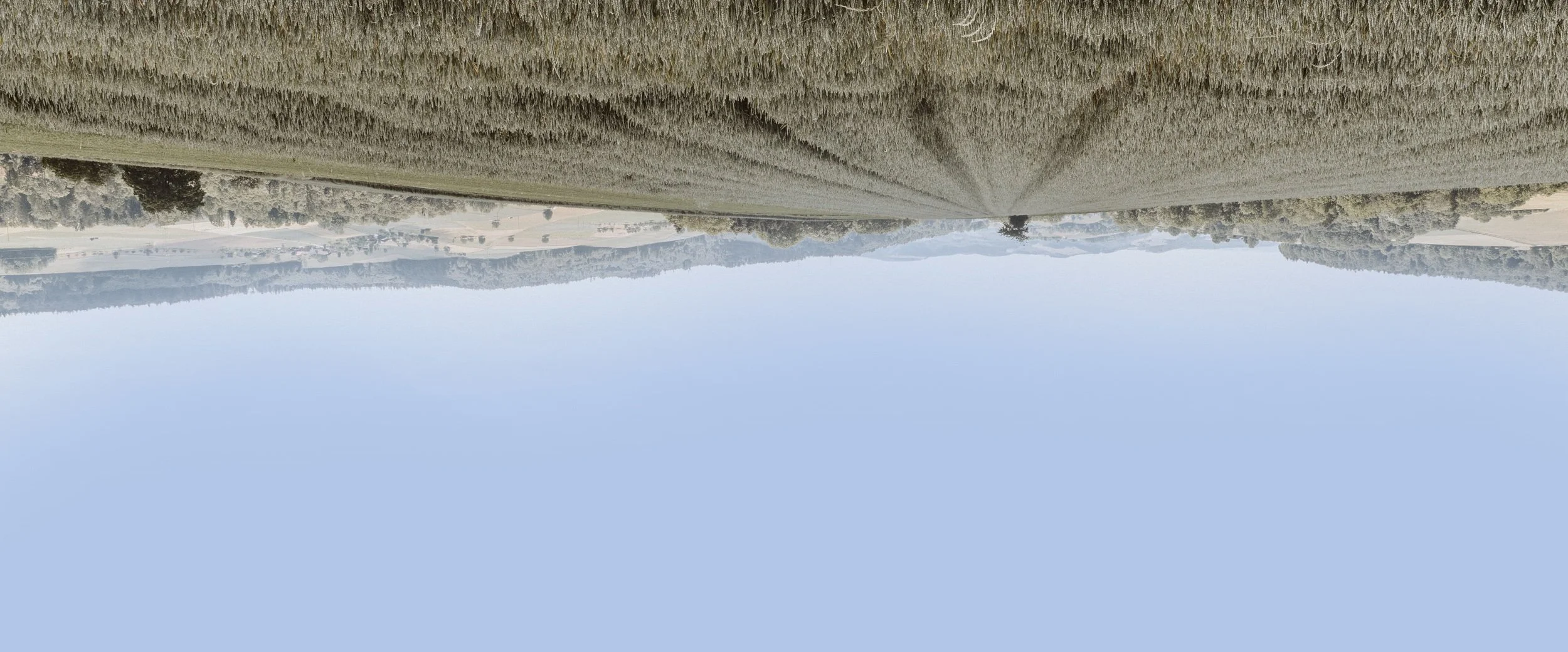 Clear Your Head Vorlage 9.jpg