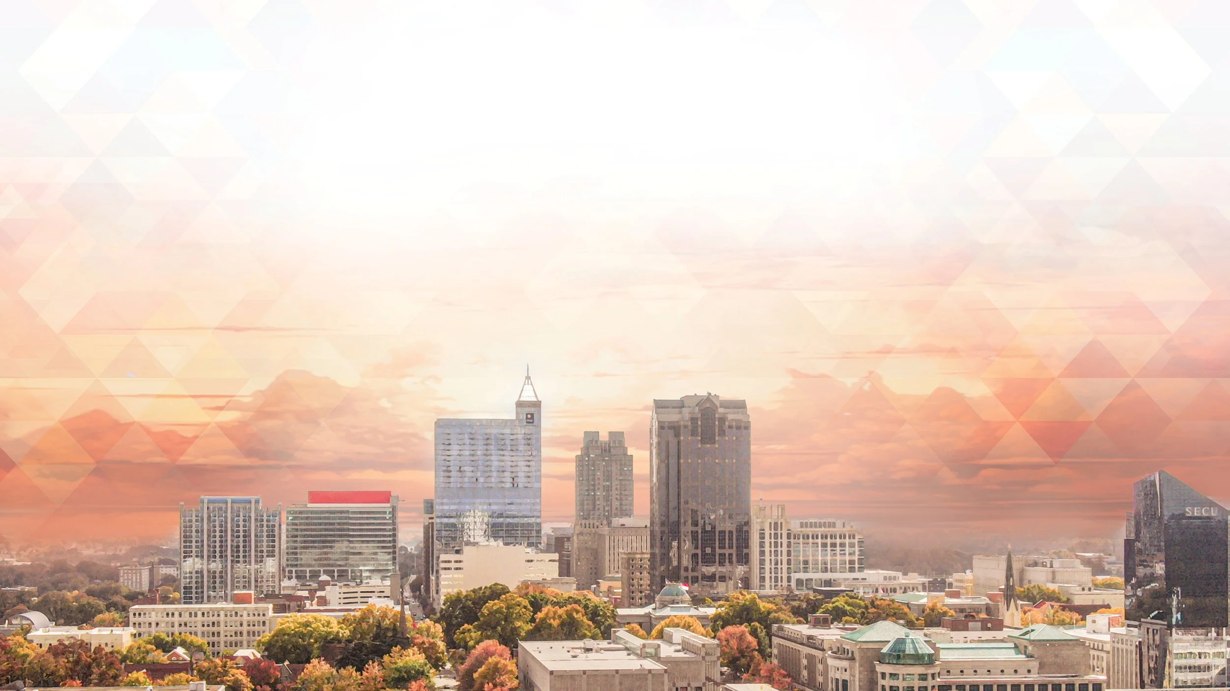 Website Raleigh.jpg