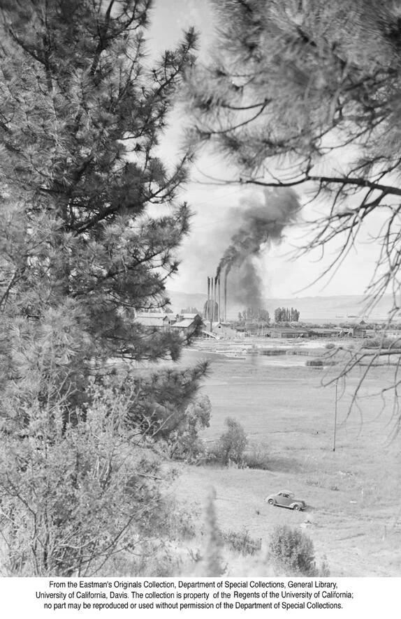 1941, Feather River Lumber Co. Loyalton.jpg