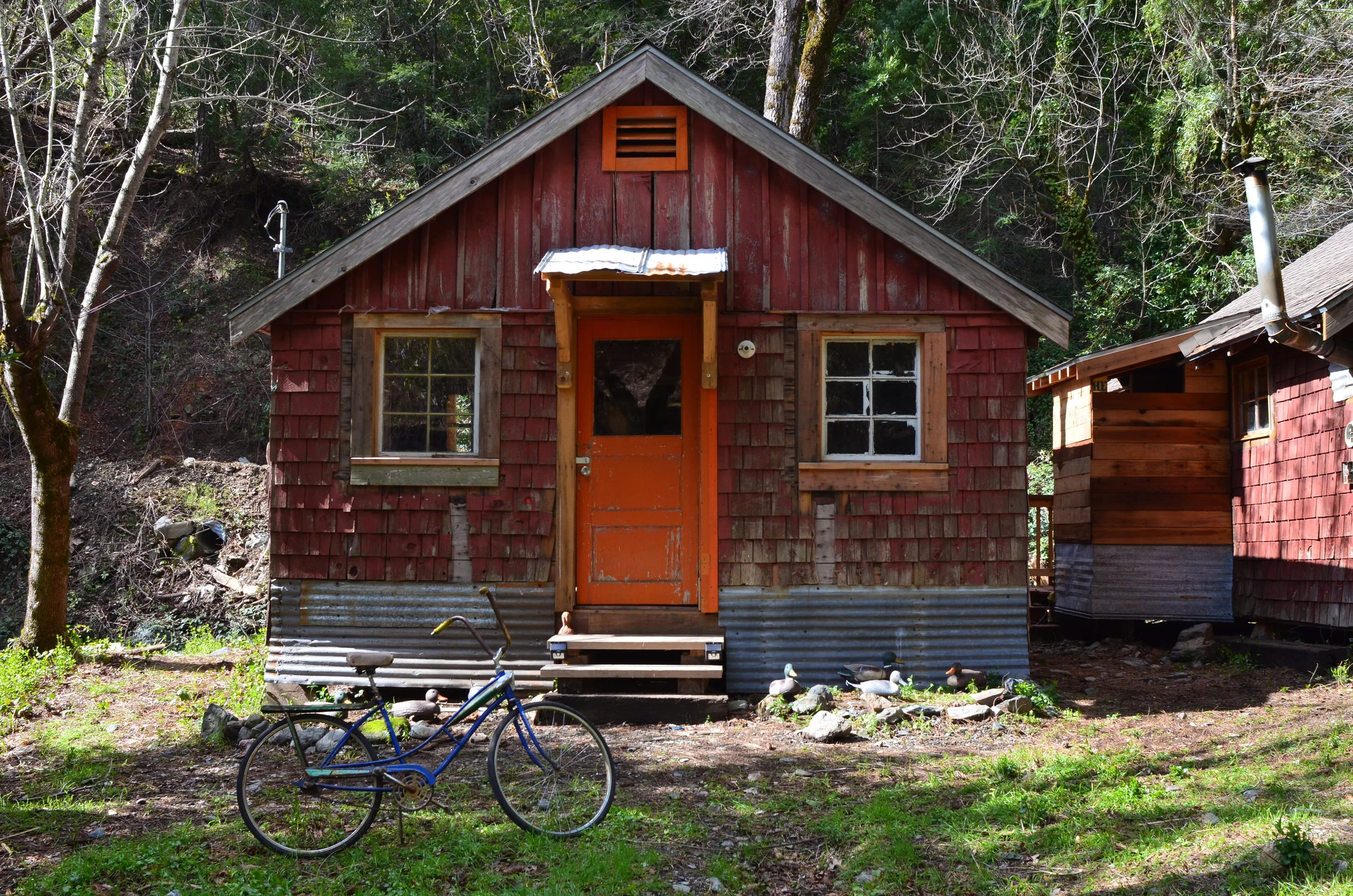 1st WF View from Outside.JPG