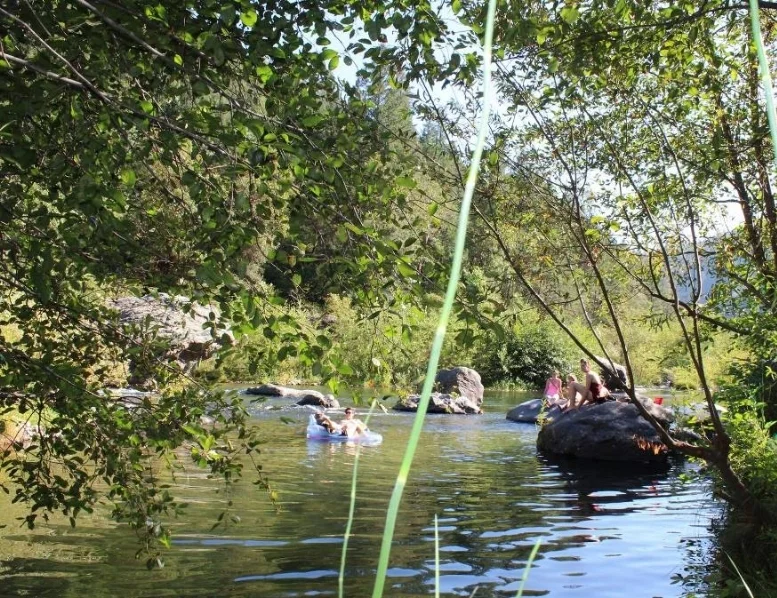 Cool off with a dip in the Feather River, just at the bottom of town.