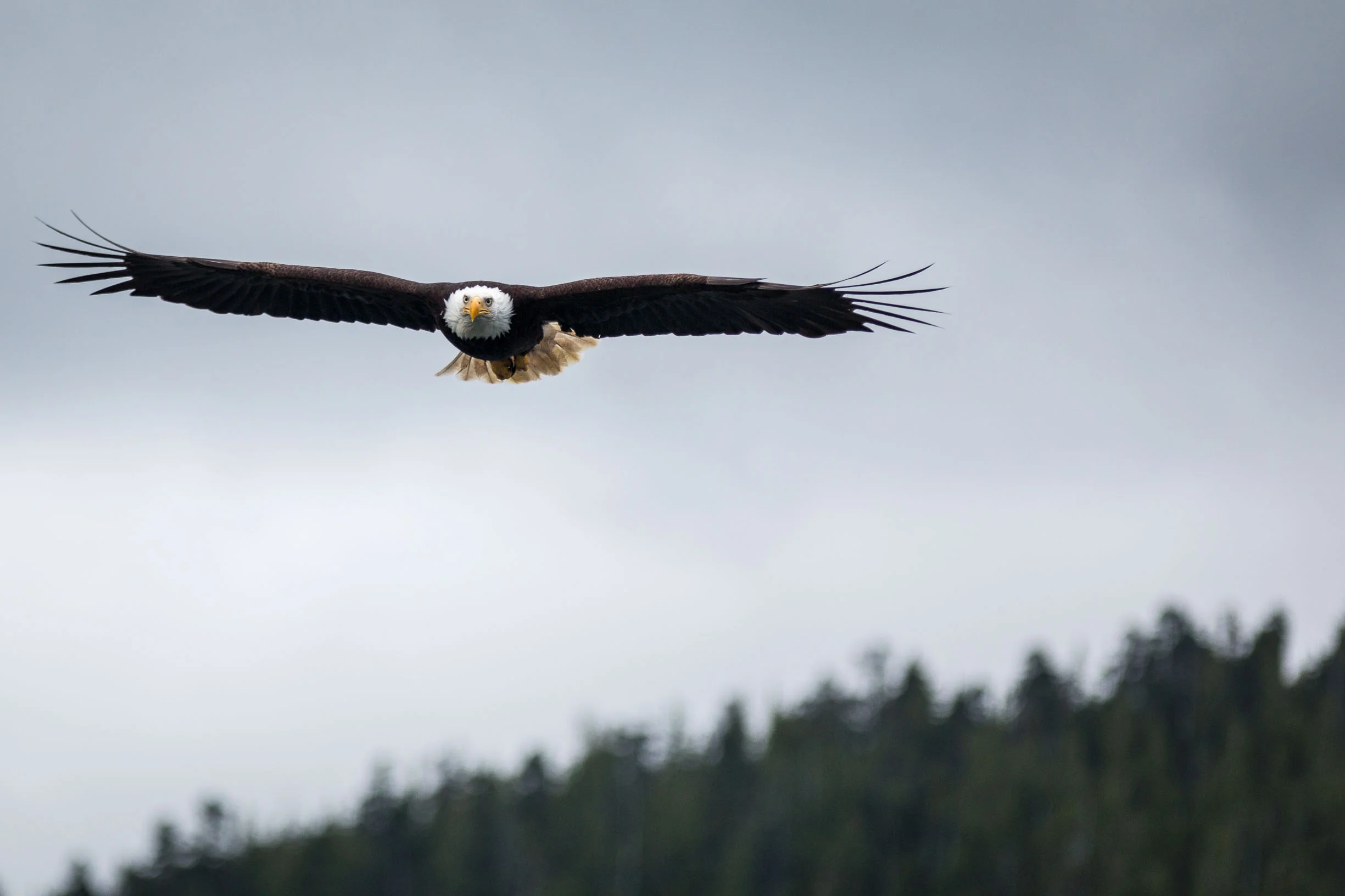 Ketchikan, Alaska
