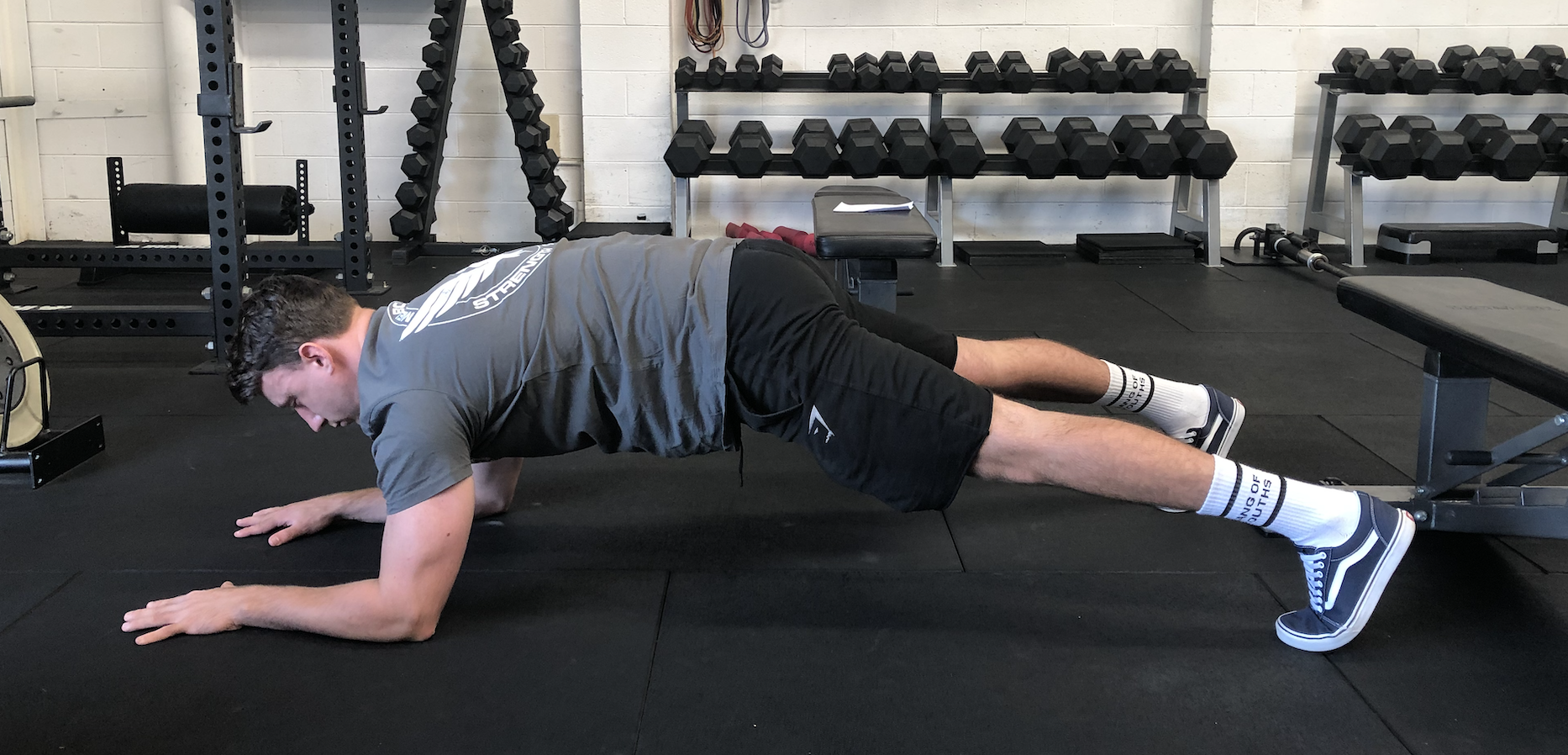 The plank trains anterior core FUNCTION by controlling extension moments.
