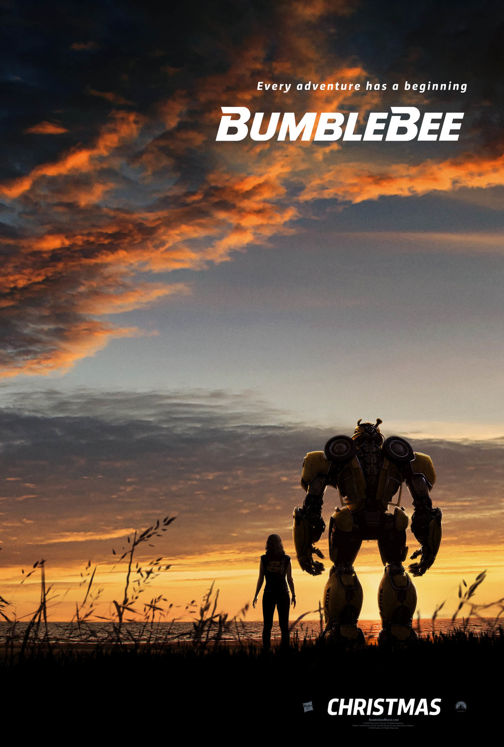 bumblebee_xlg.jpg