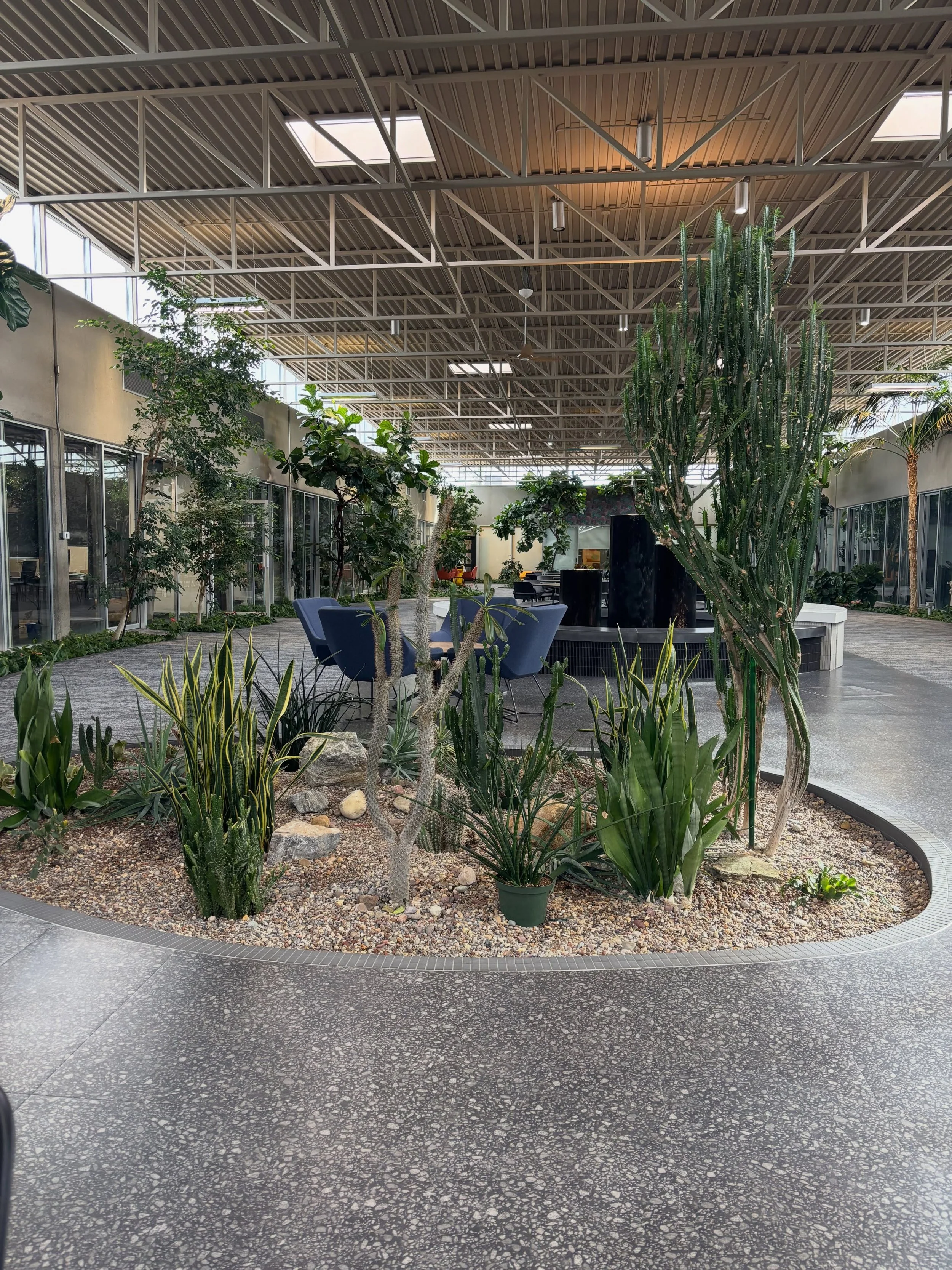 @tracyfieldscounselling and I met to discuss the details for our upcoming networking group for quiet, sensitive business owners

More info to come, but for now, sneak a peek 👀 at the beautiful space. As a plant momma 🍃🌱 I can&rsquo;t get over how 