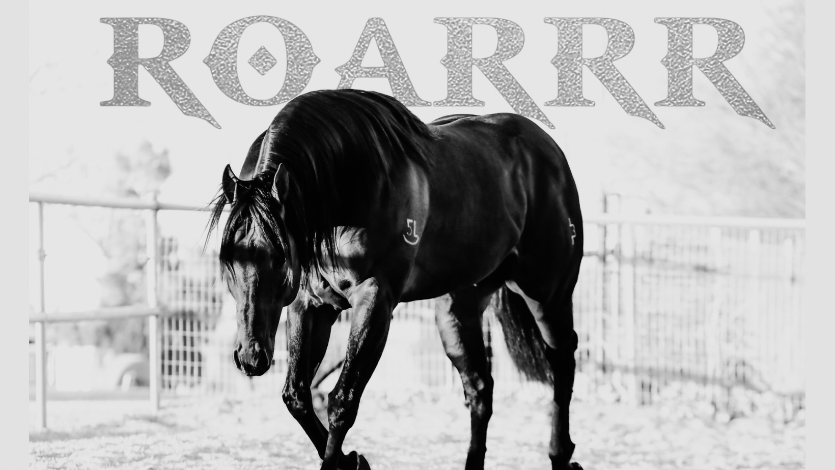 Photo Jan 21 2026, 4 21 46 PM.png