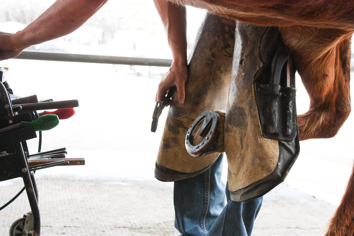 farrier services near me