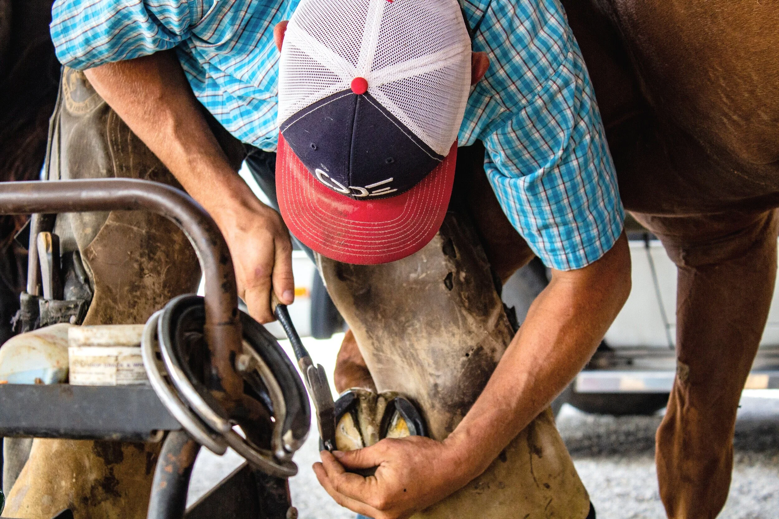 Farriers — Outlaw Equine Hospital Rehab & Center
