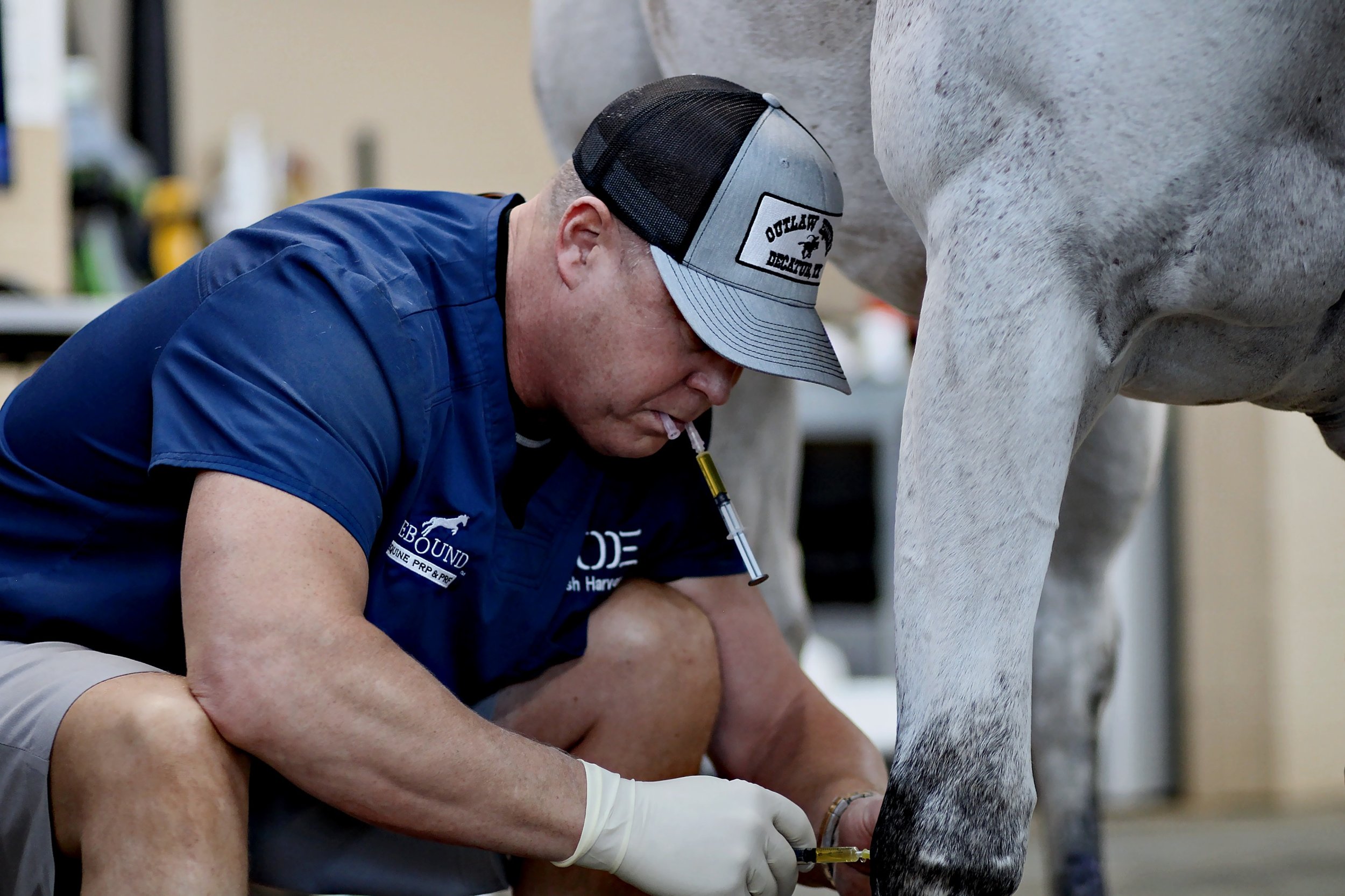 Equine Vet Clinic — Outlaw Equine Hospital Rehab & Center