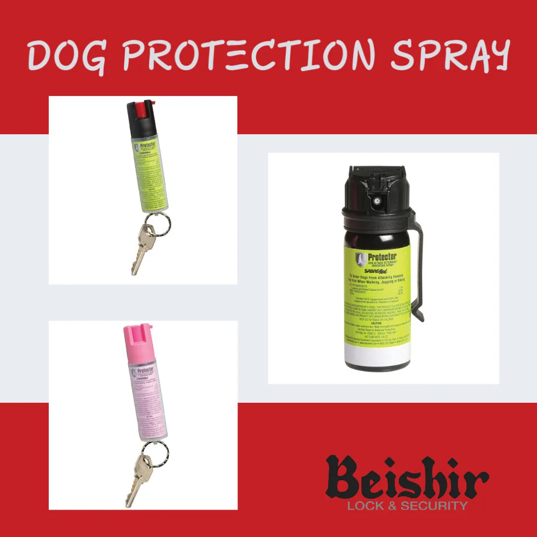 Personal protection for your college student. — Beishir Lock & Security