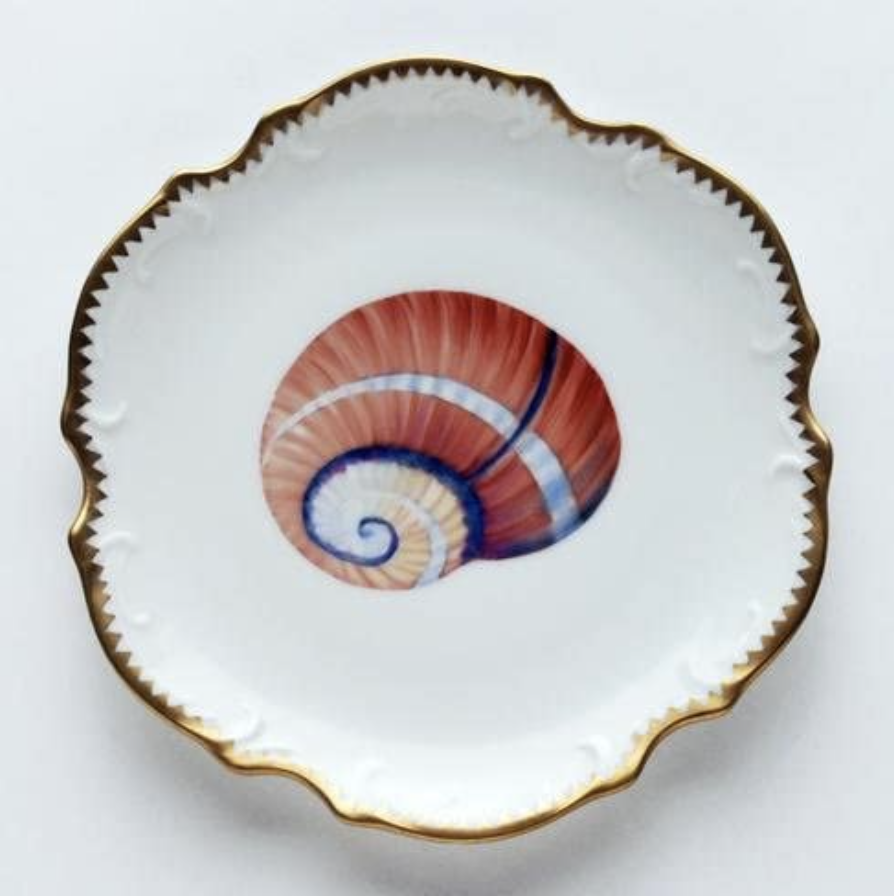 Amazon, Anna Weatherley Seascape Coral/Blue Shell Bread &amp; Butter