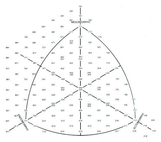 Somatotype Chart