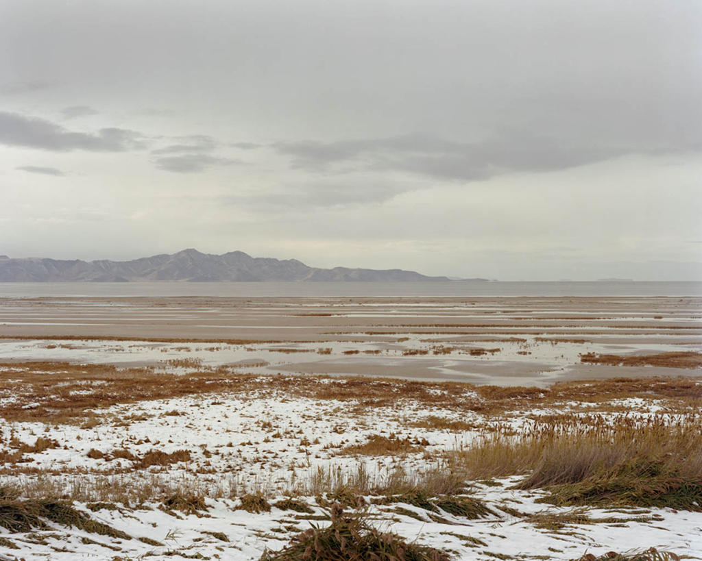 Velvet , Archival Pigment Print, 16x20 inches (Edition of 5) & 32x40 inches (Edition of 3)