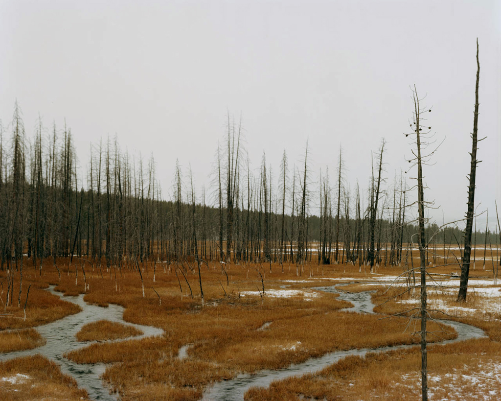 Trouble, Archival Pigment Print, 16x20 inches (Edition of 5) & 32x40 inches (Edition of 3)