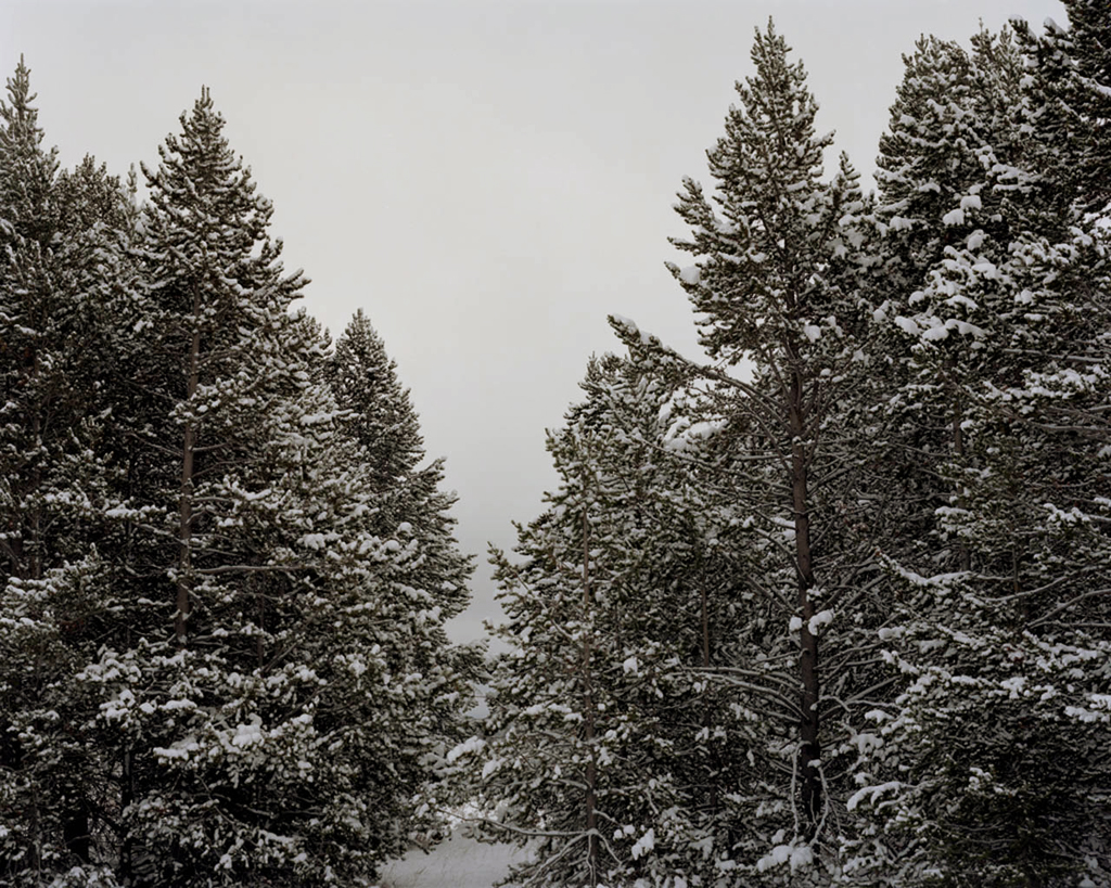 Collapse , Archival Pigment Print, 16x20 inches (Edition of 5) & 32x40 inches (Edition of 3)