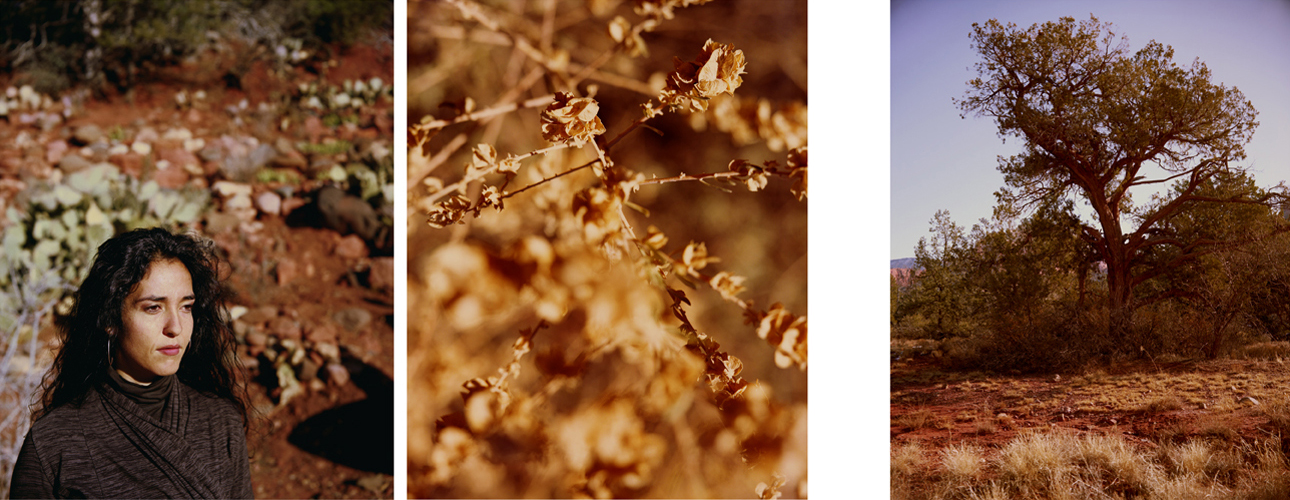 V, Archival Pigment Print, 20x16 inches each (Edition of 5) & 40x32 inches each (Edition of 3)