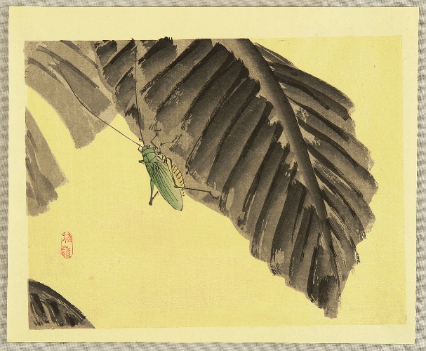 Grasshopper by Kono Bairei