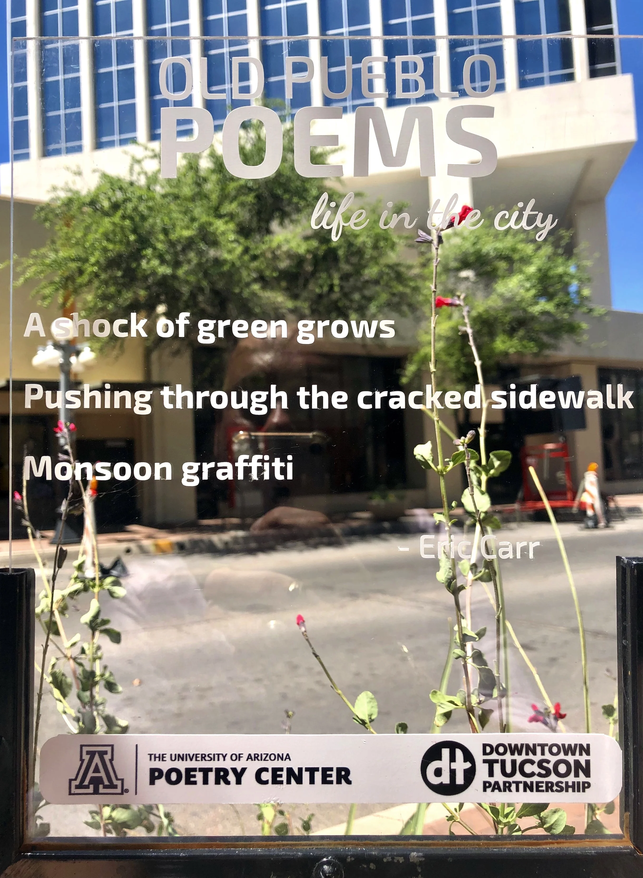 Old Pueblo Poems
