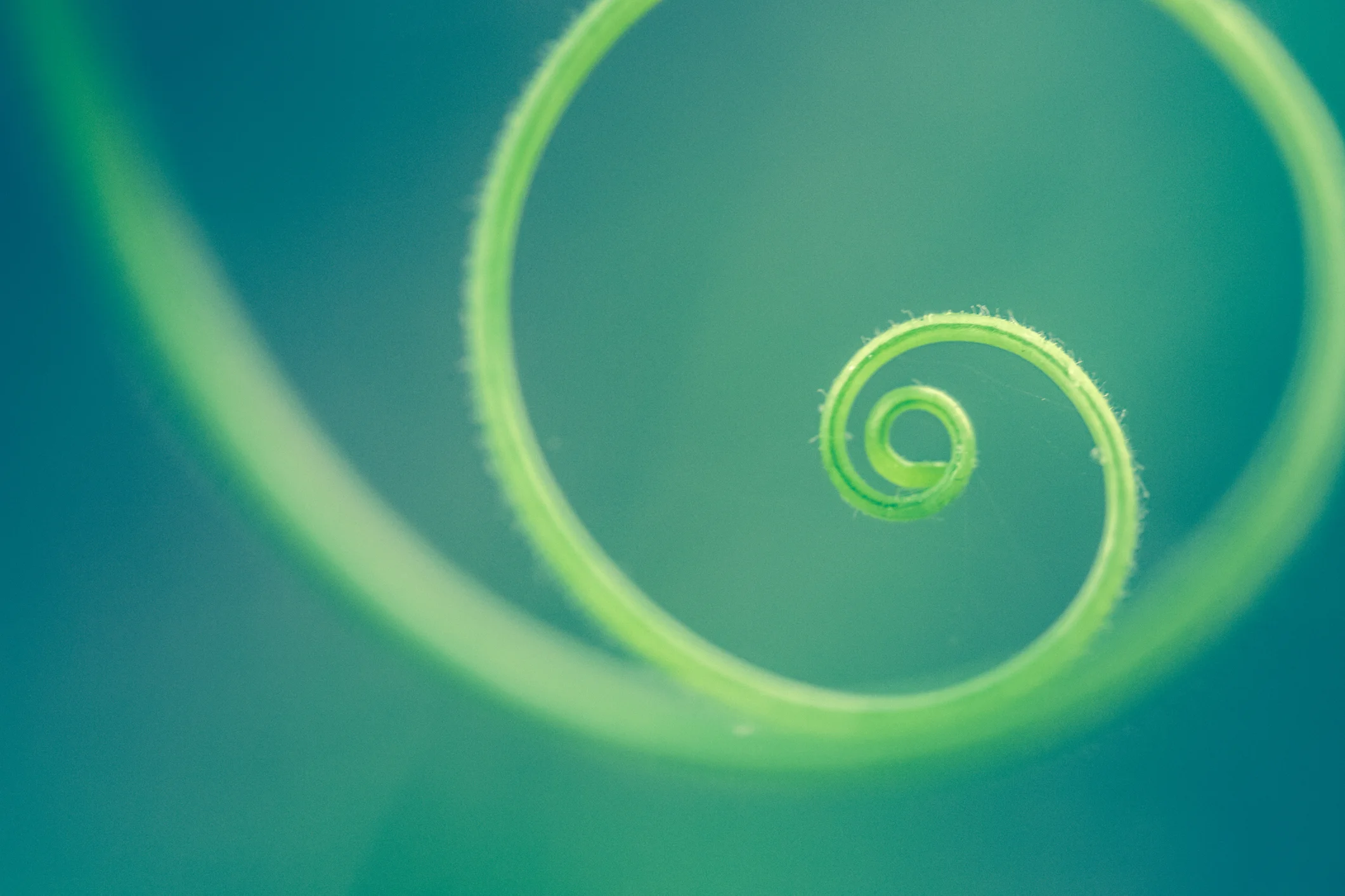 Photo by debibishop/iStock / Getty Images