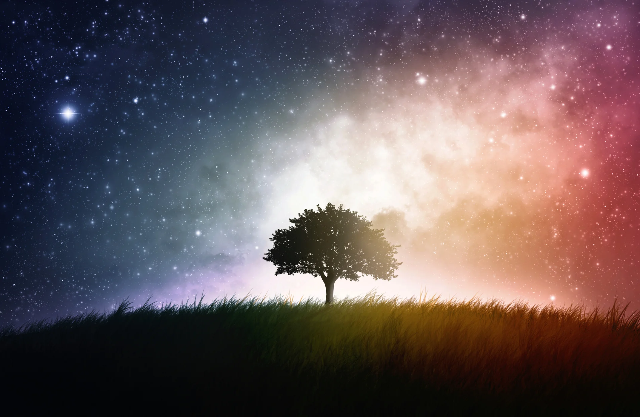 "And every time we are drawn to look up in the night sky and reflect on the awesome beauty of the universe, we are actually the universe reflecting on itself." (Brian Swimme & Mary Evelyn Tucker, Journey of the Universe )