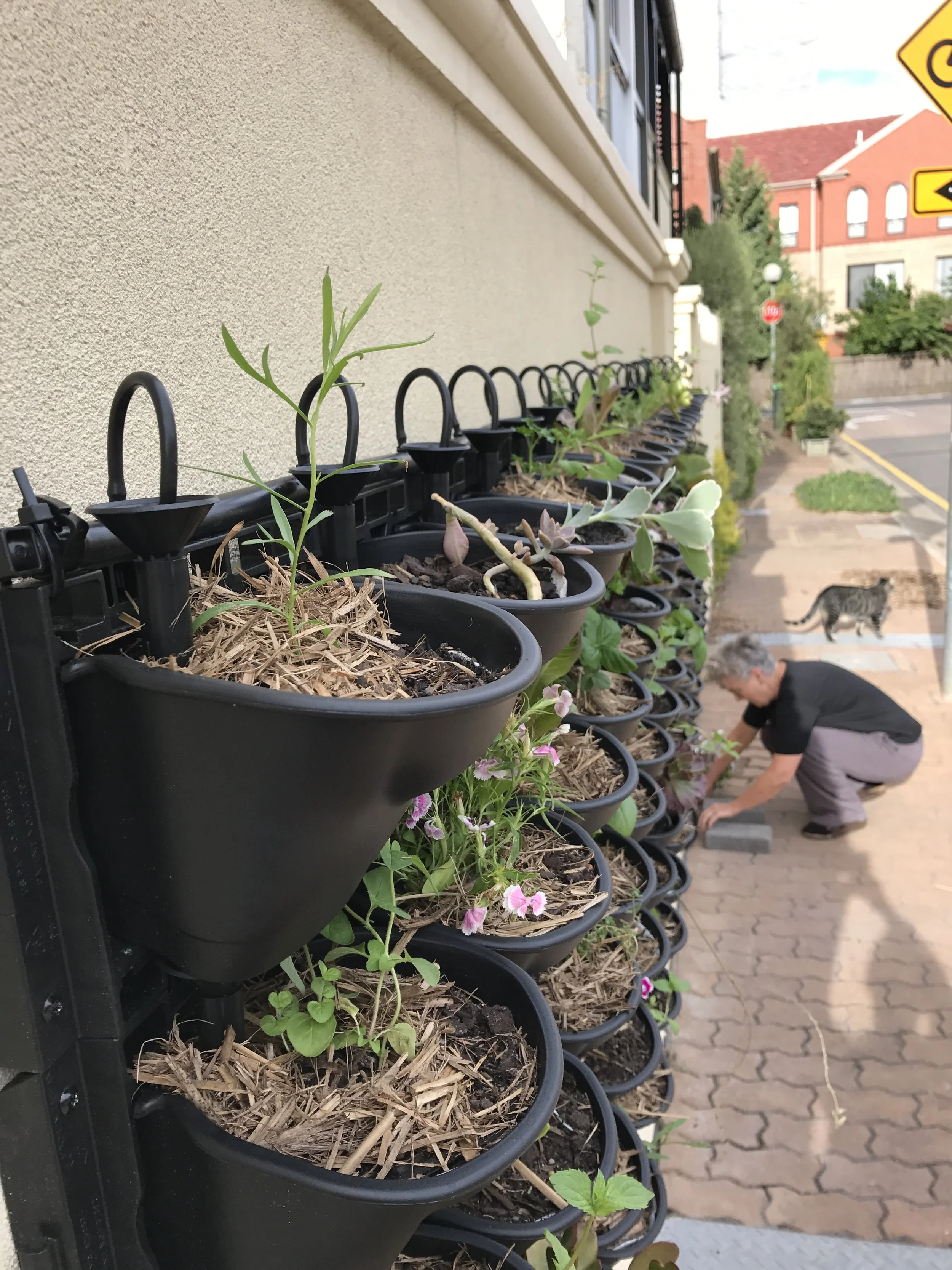 thanks, Adelaide City Council, for the green grant that's helped make this possible at CCP HQ