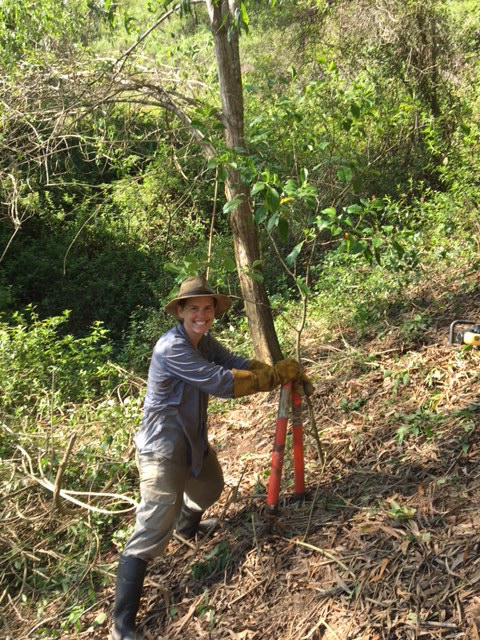 Cosmic member of the Tree Liberation Front, Jana discovers a sapling under the lantana