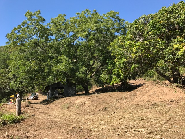 clearing the way for Ecozoic Living 