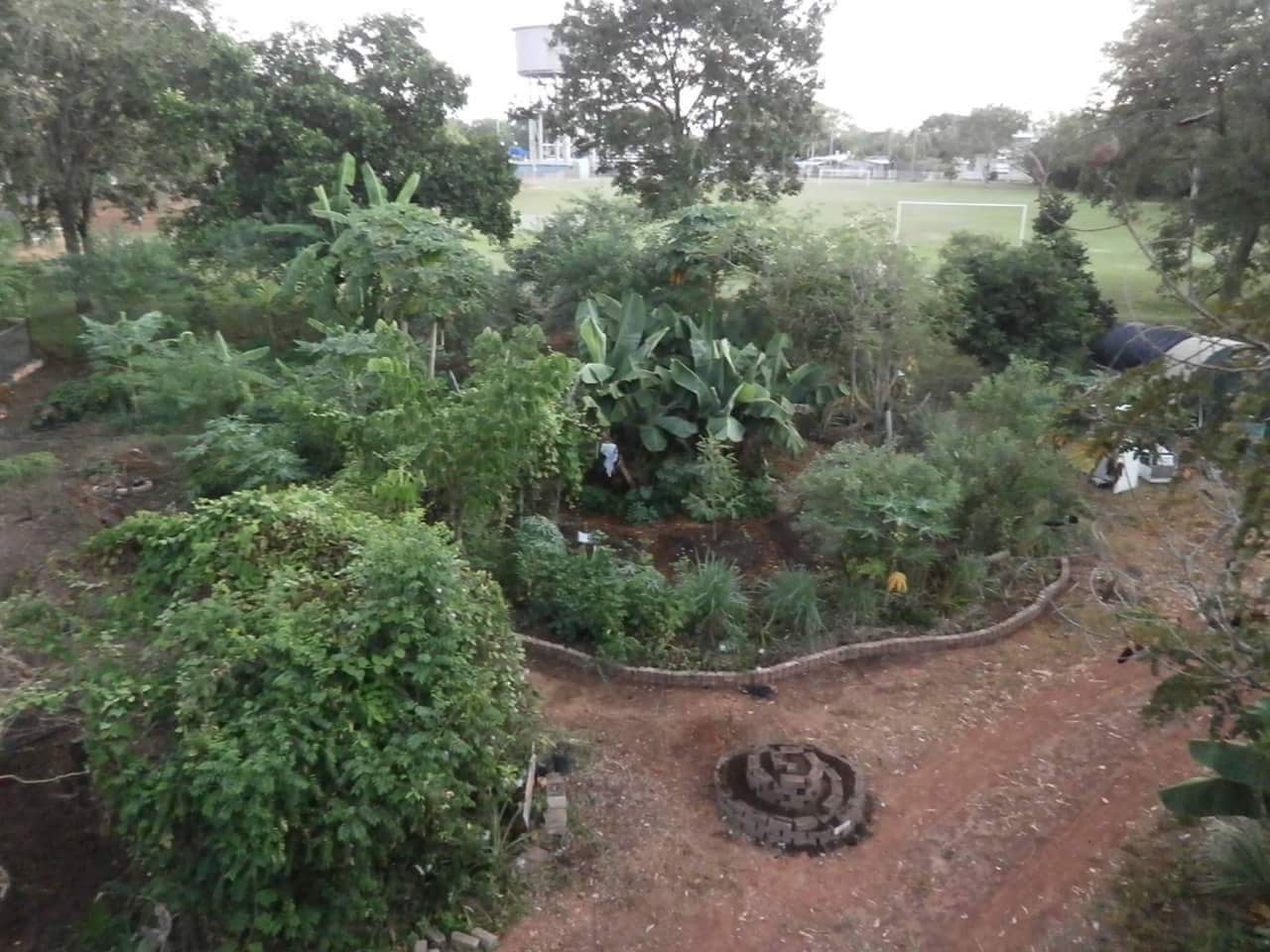 The Mulch Pit permaculture garden, Rapid Creek NT