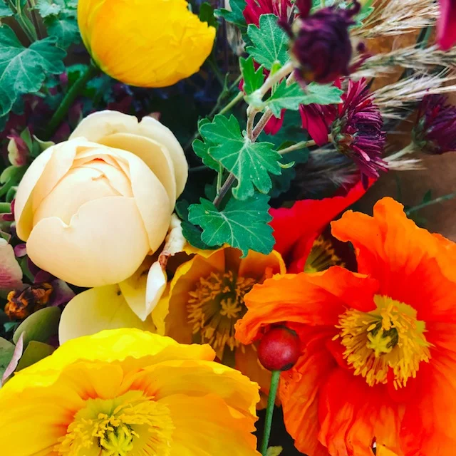 Pocketful of posies from the Market Shed 