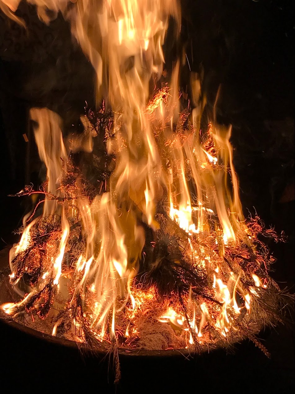 burning the dried christmas tree at the winter solstice