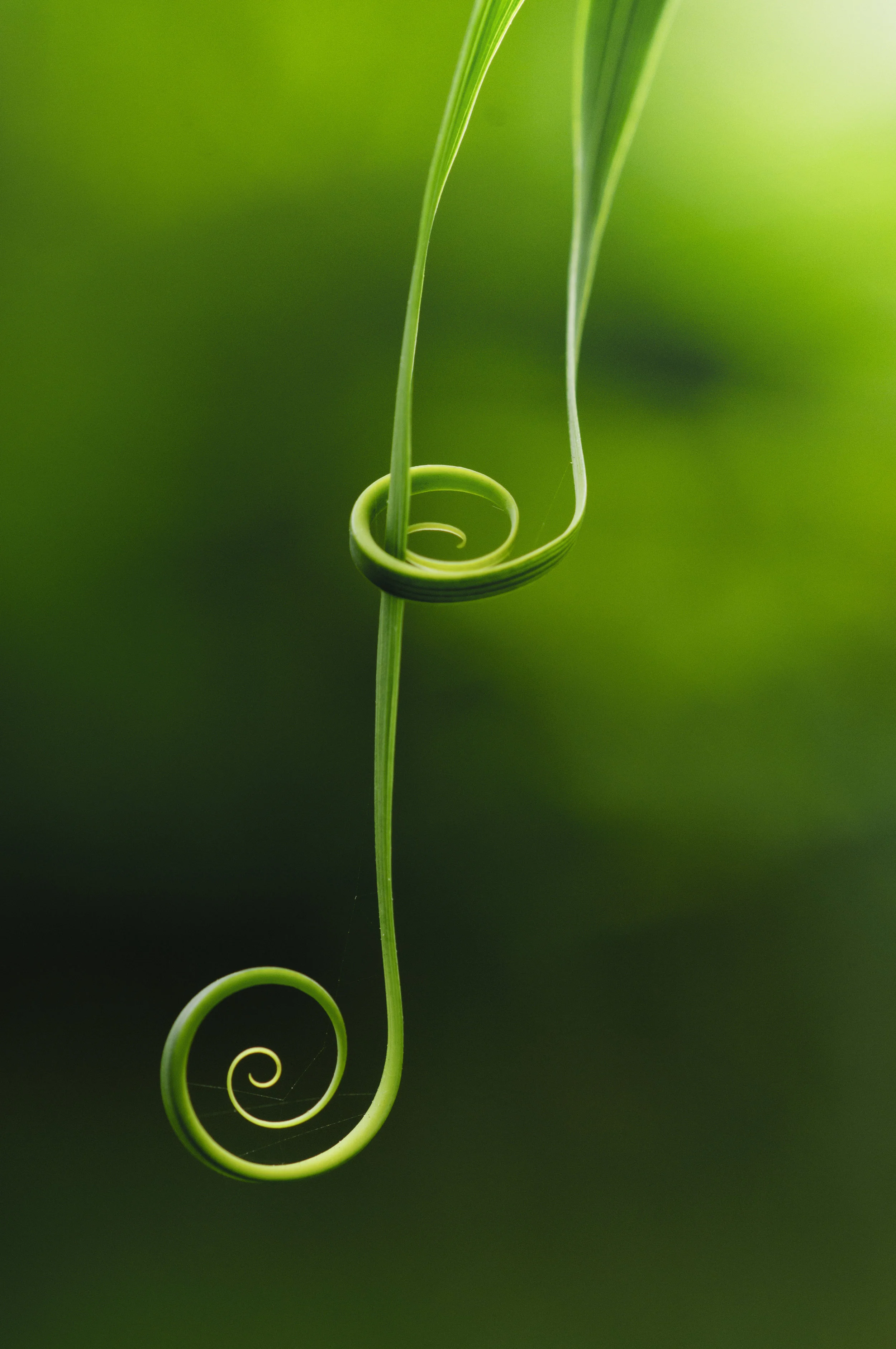 learning to be present