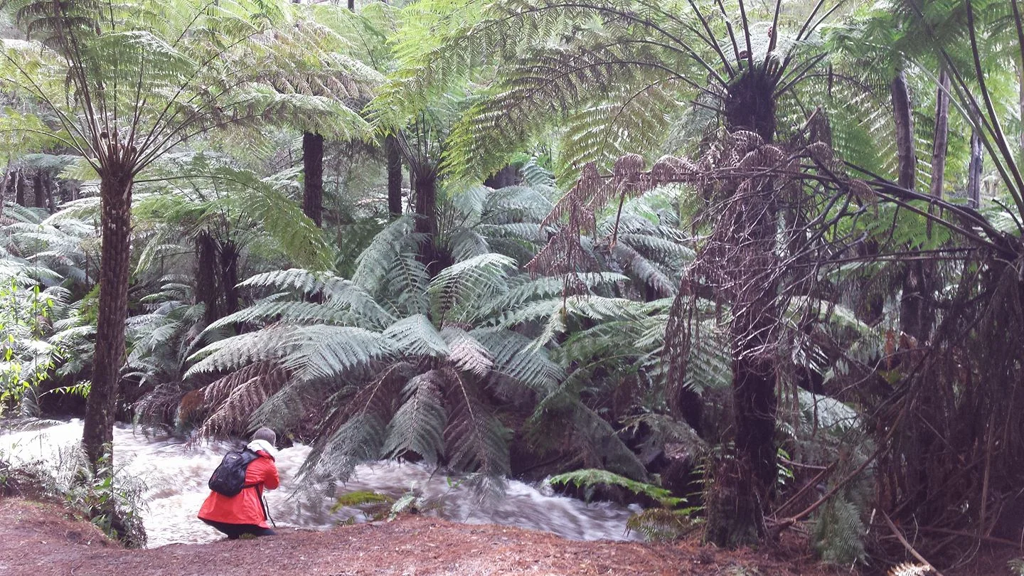 Jana at the river in forest therapy.jpg