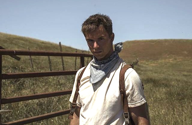 Feature Desolate - Amazon