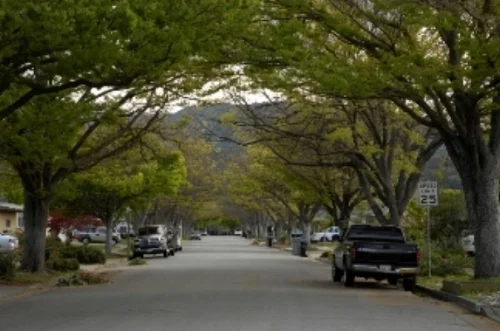 Cambrian area street scene