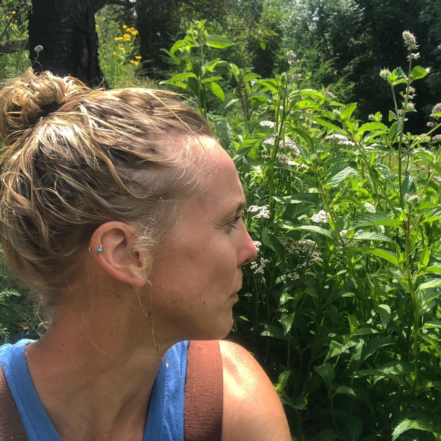 Taking a moment in the garden before harvesting the peppermint...what a growing year!! Thanks to the cool, wet spring, the farm is a jungle of herbal goodness!  There is always so much to do, sometimes I forget to just sit down, listen to the birds, 