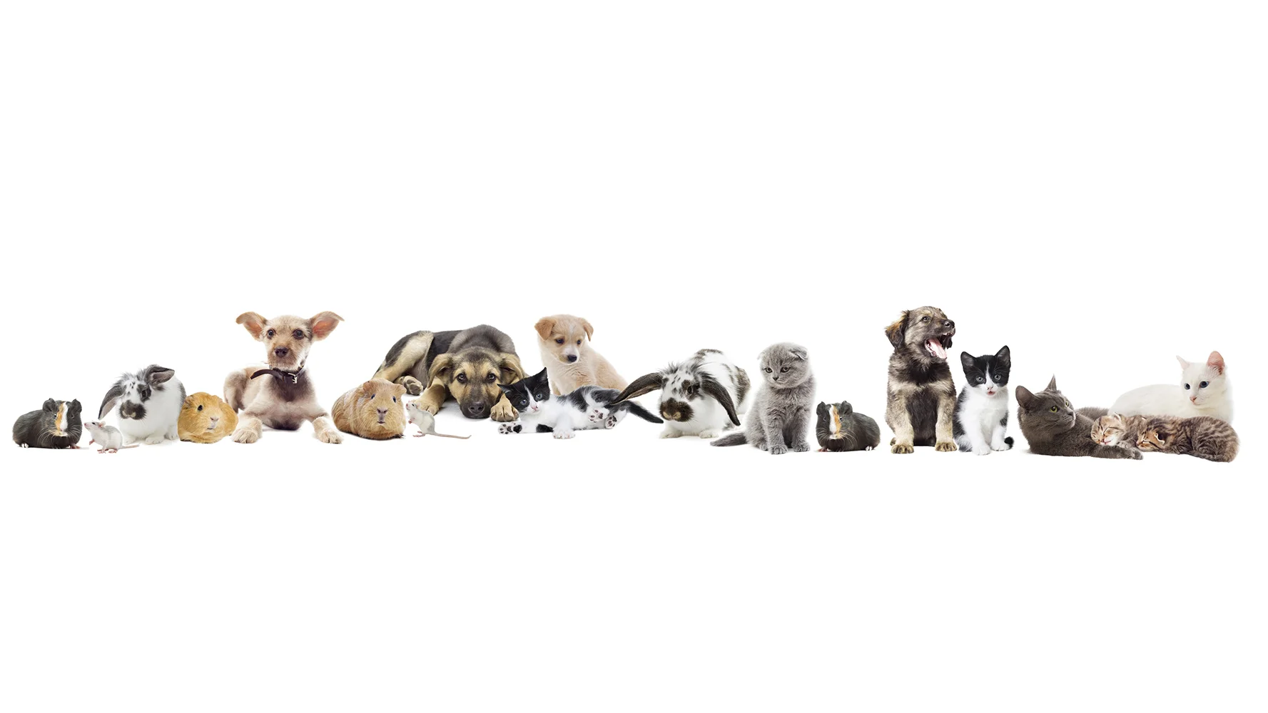 Fotolia_88951012_M_edited.jpg