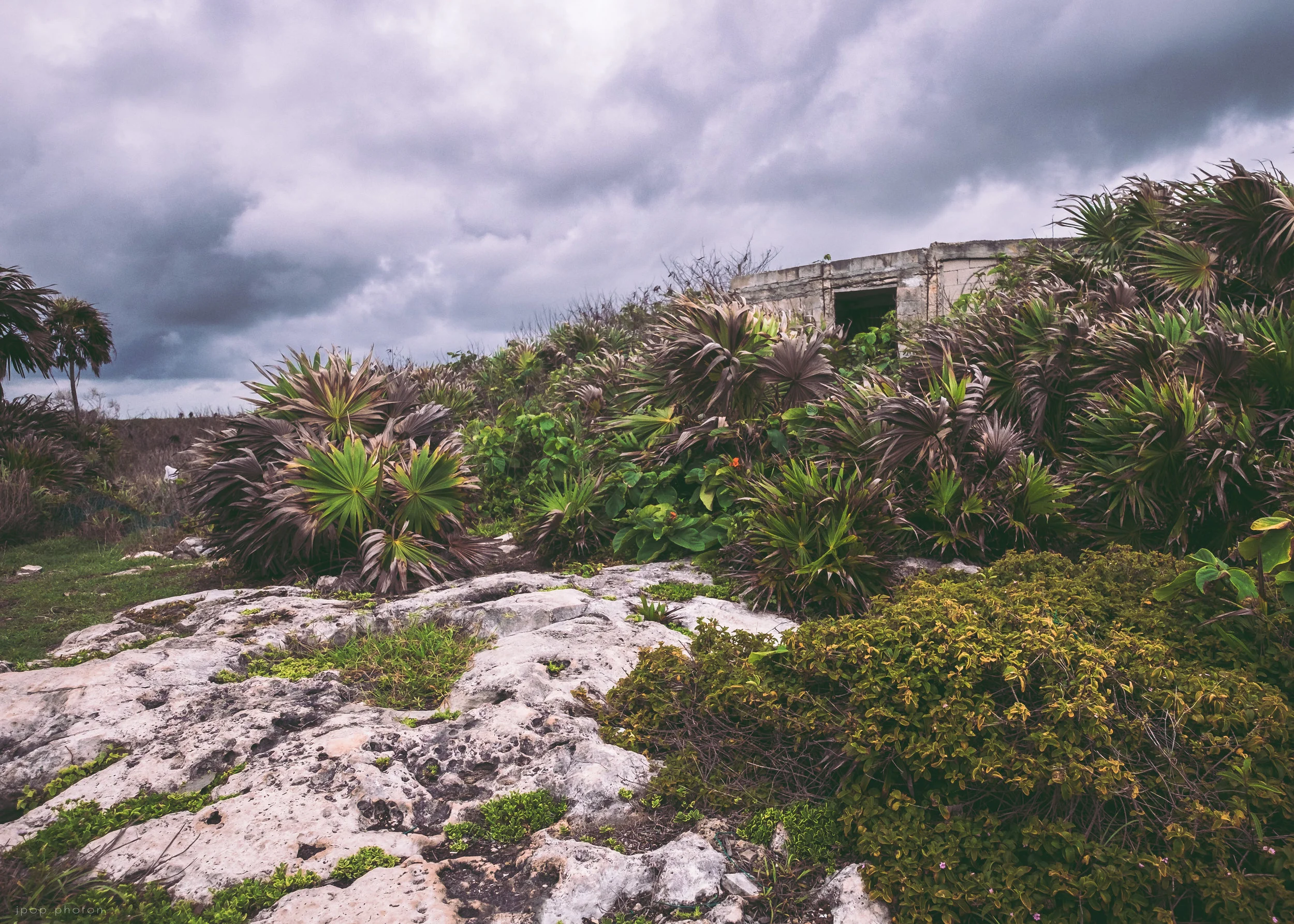 Abandoned Tulum