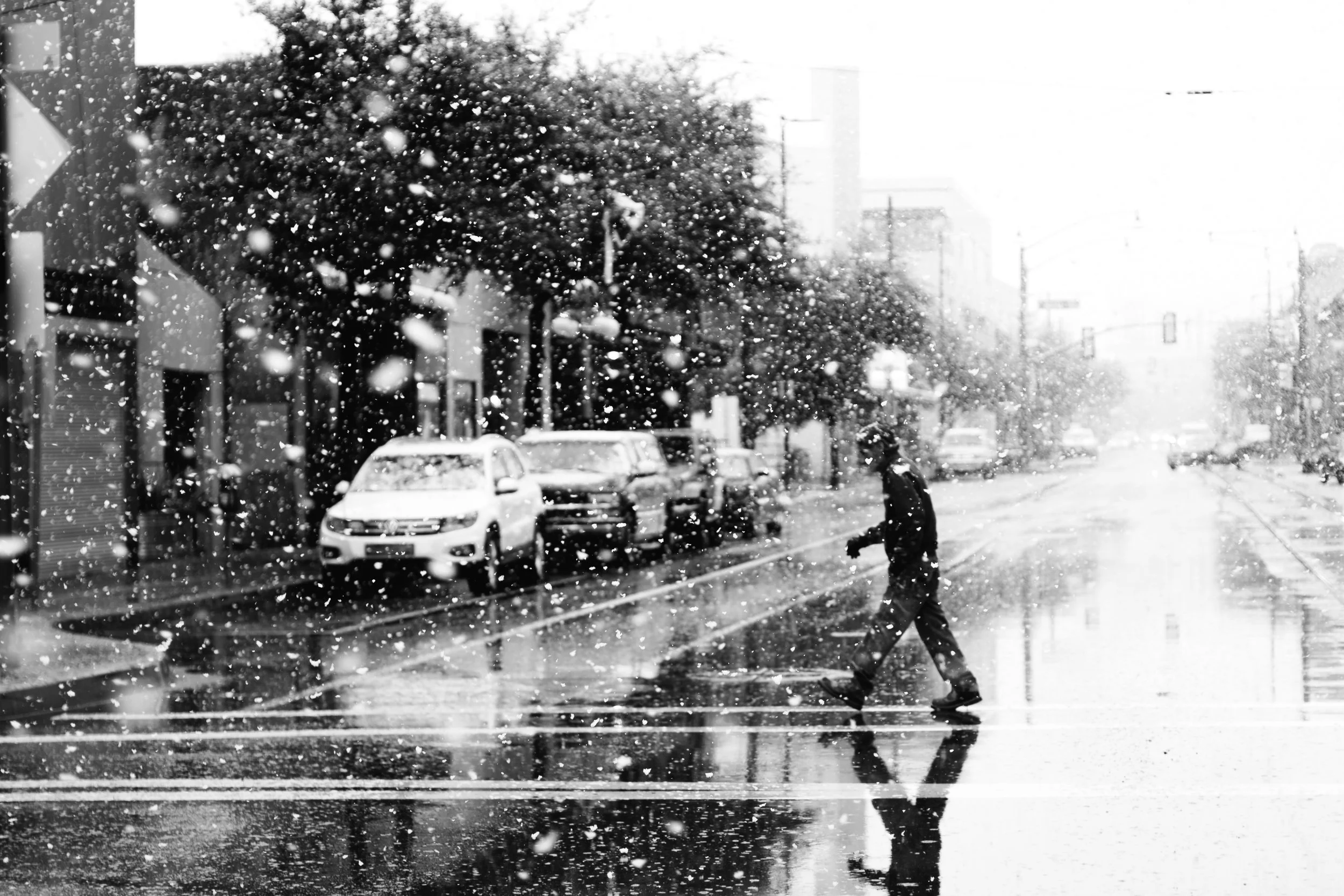 Congress Crosswalk in the Snow.jpg