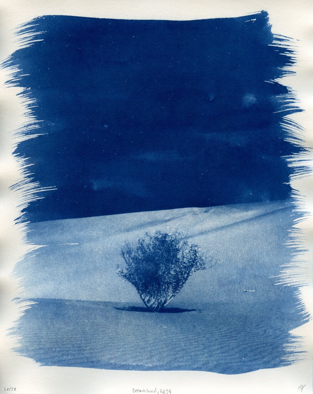 Cyanotype, Watercolor and Gouache - Strathmore Artist Papers