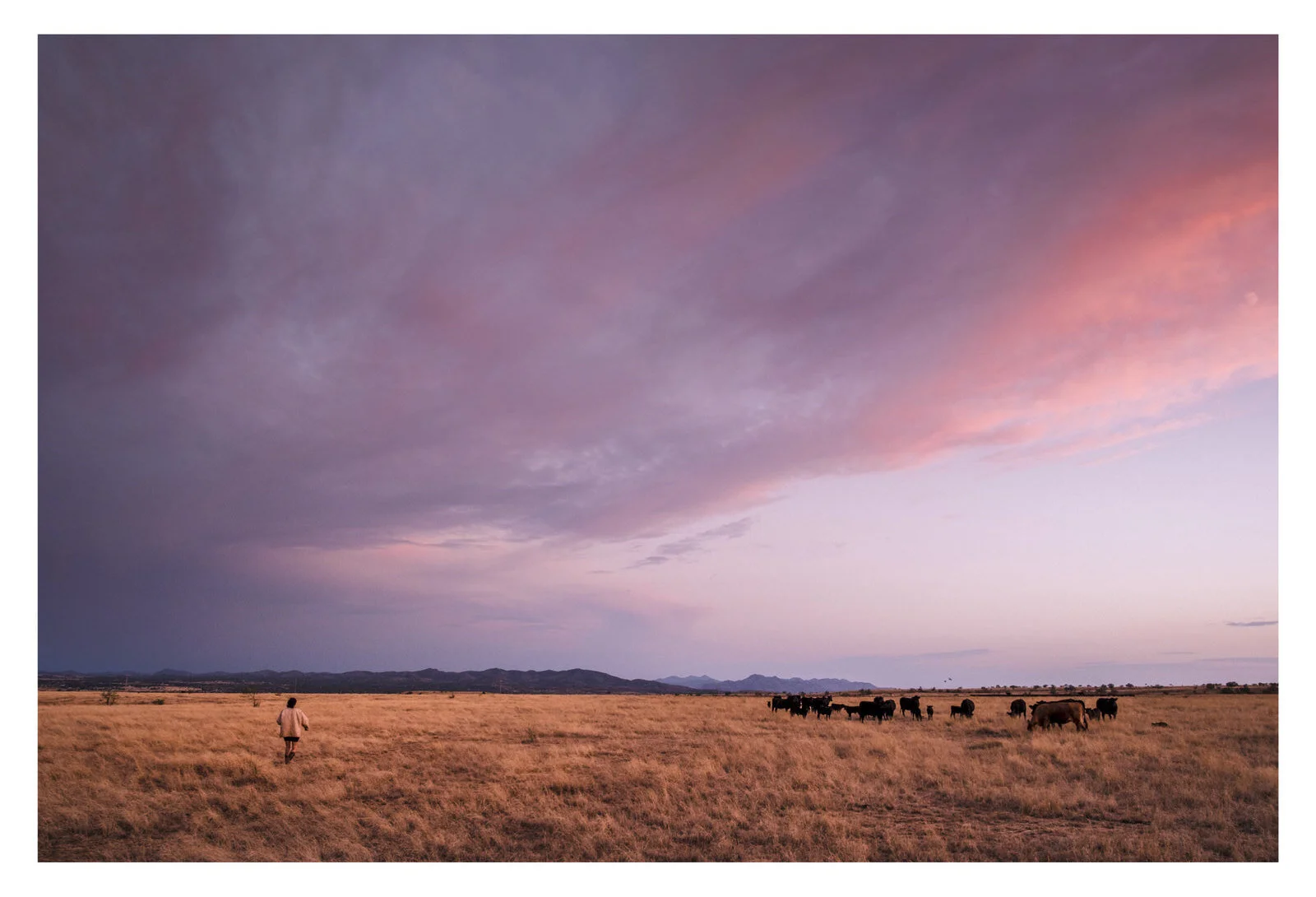 Edition 1, A3+ - AP.jpg