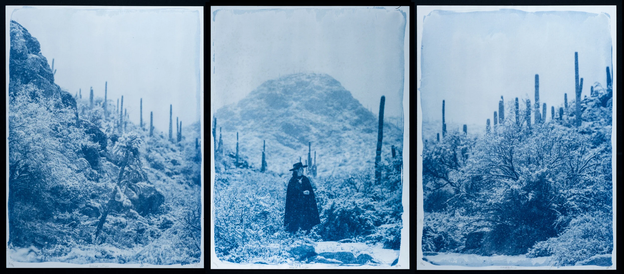 Triptych.jpg