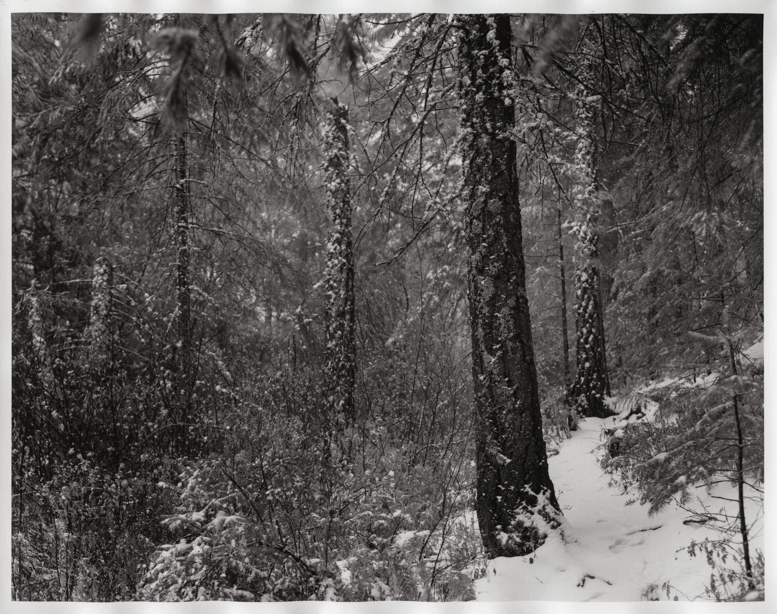 For Web - Contrast 4 4x4sec preflash w vignette.jpg