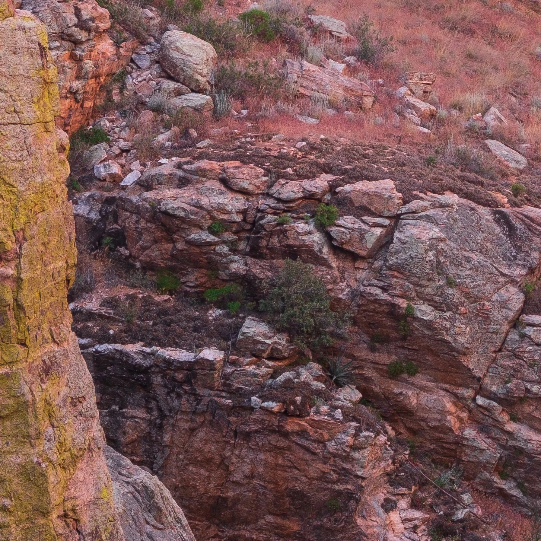 Hidden_Canyon_Oak_Licensing_Julius_Schlosburg_Detail.jpg