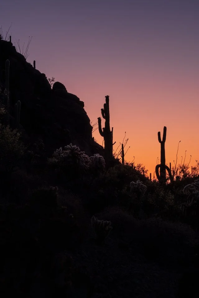 Sarasota_Sunrise_Julius_Schlosburg_Small.jpg